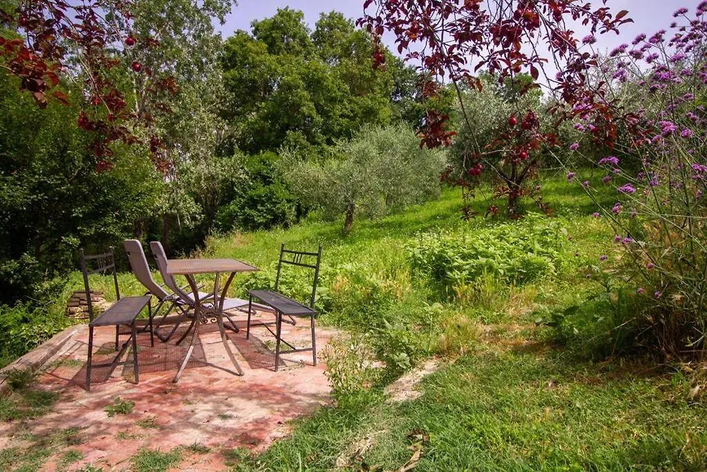 Appartamento Con Piscina E Giardino - Olivo Ghizzano
