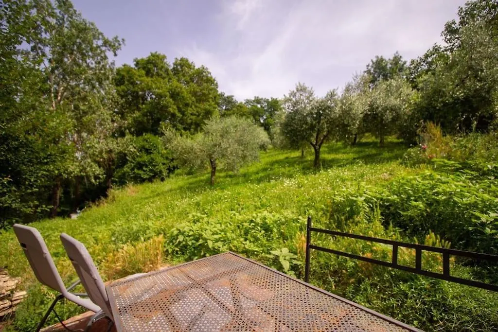 Appartamento Con Piscina E Giardino - Olivo Ghizzano Apartmán