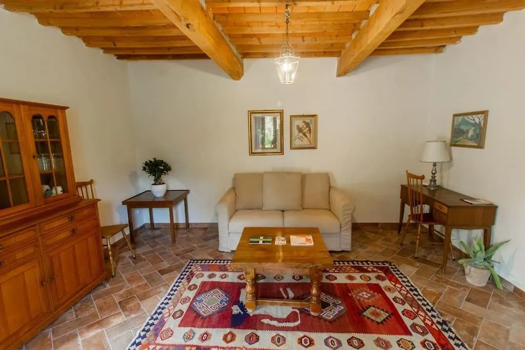 Appartamento Con Piscina E Giardino - Olivo Ghizzano