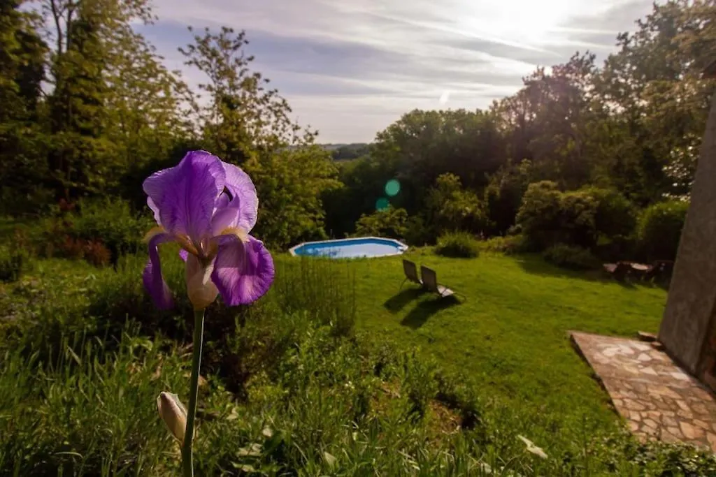 Apartment Appartamento Con Piscina E Giardino - Olivo Ghizzano