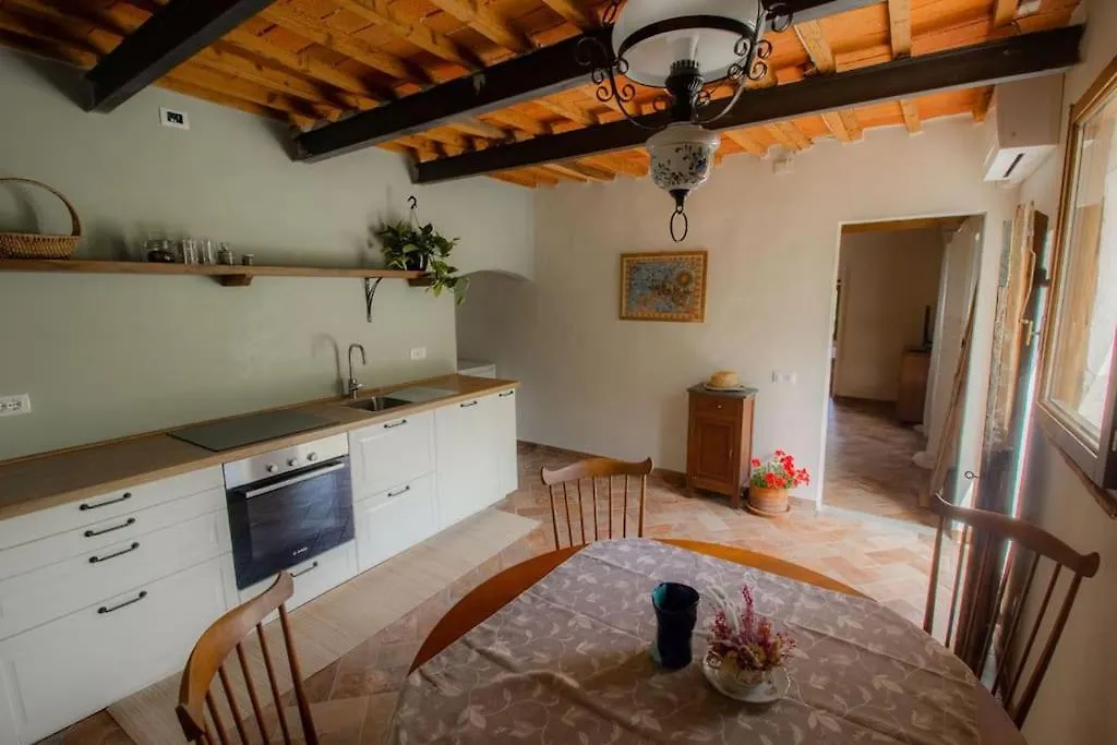 Appartamento Con Piscina E Giardino - Olivo Ghizzano Italy