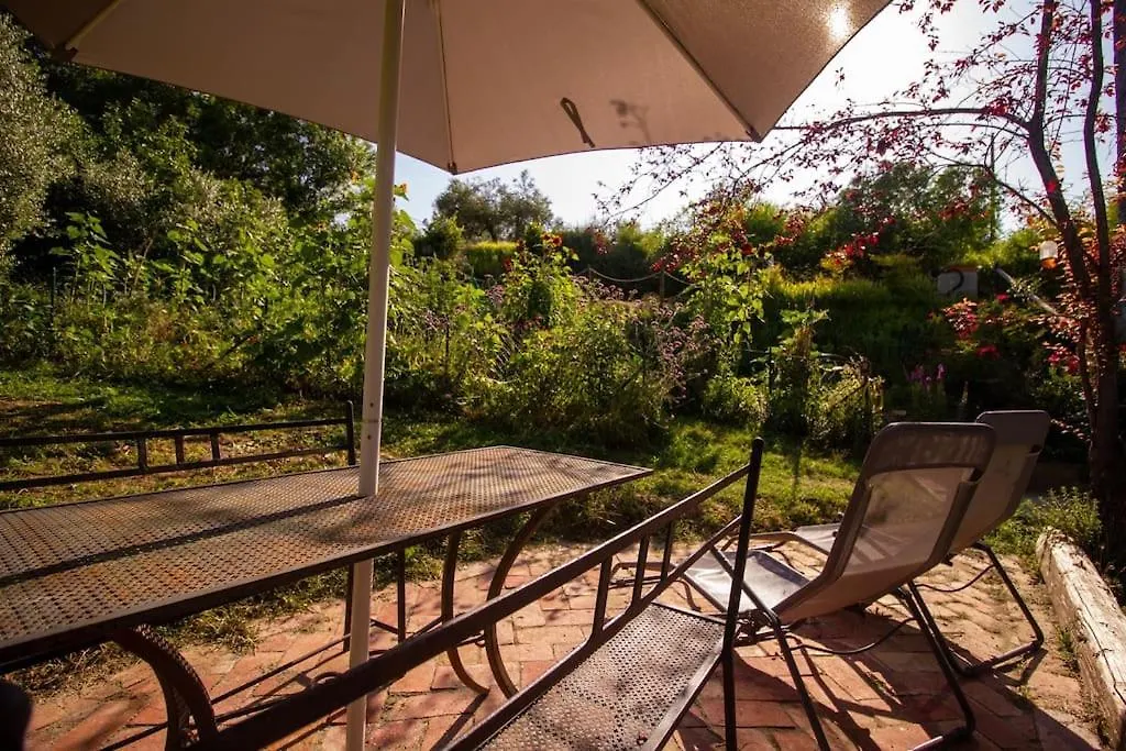Appartamento Con Piscina E Giardino - Olivo Ghizzano 0*,  Italy