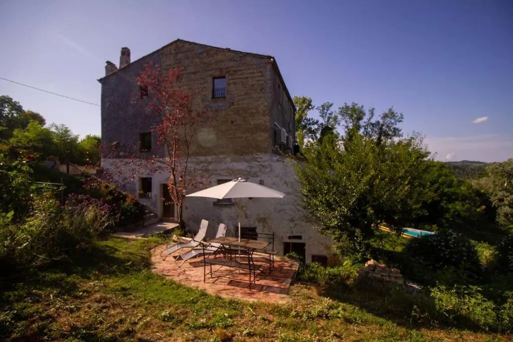 Apartment Appartamento Con Piscina E Giardino - Olivo Ghizzano