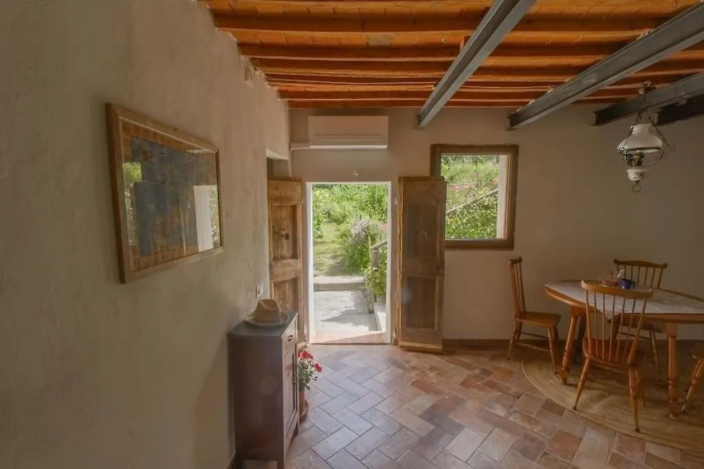 Apartment Appartamento Con Piscina E Giardino - Olivo Ghizzano Italy