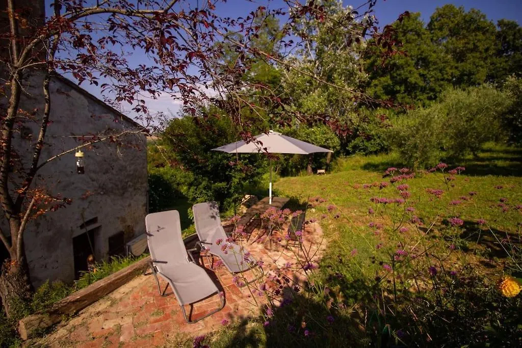 Apartment Appartamento Con Piscina E Giardino - Olivo Ghizzano
