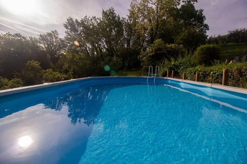 Apartment Appartamento Con Piscina E Giardino - Olivo Ghizzano