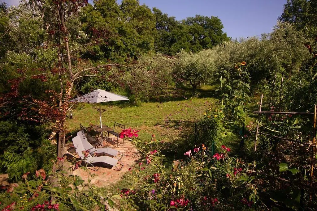 Appartamento Con Piscina E Giardino - Olivo Ghizzano 0*,  Italy