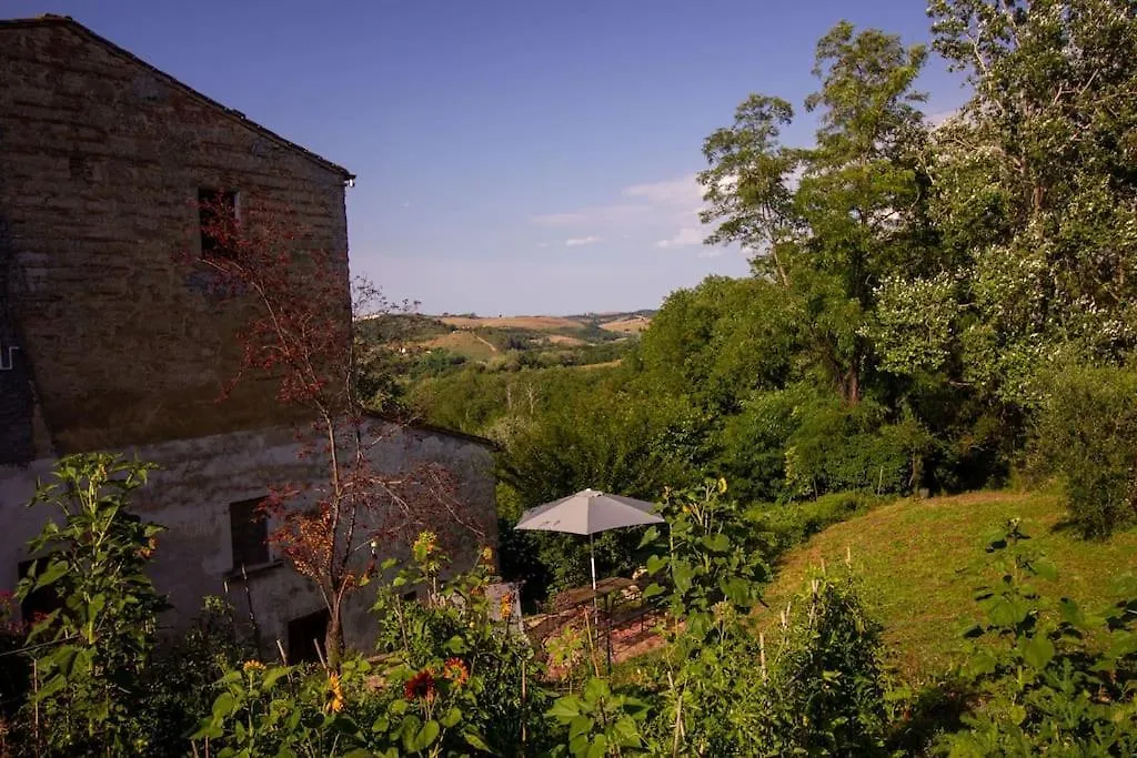 Appartamento Con Piscina E Giardino - Olivo Ghizzano