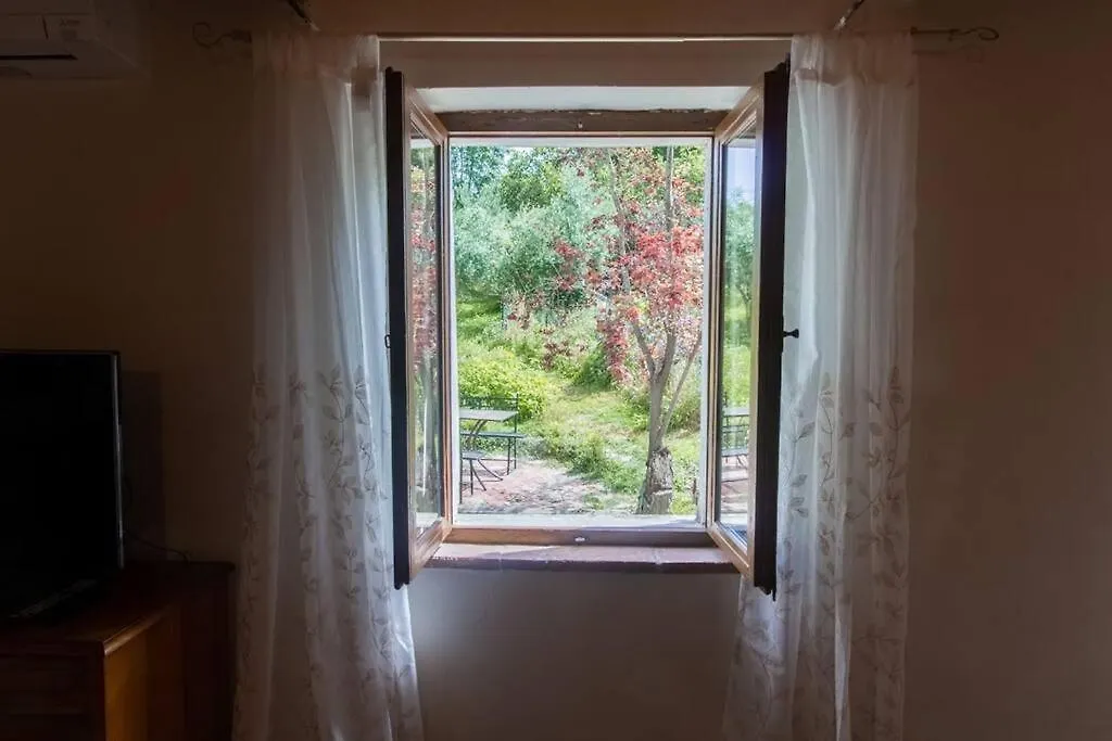 Appartamento Con Piscina E Giardino - Olivo Ghizzano 0*,  Italy