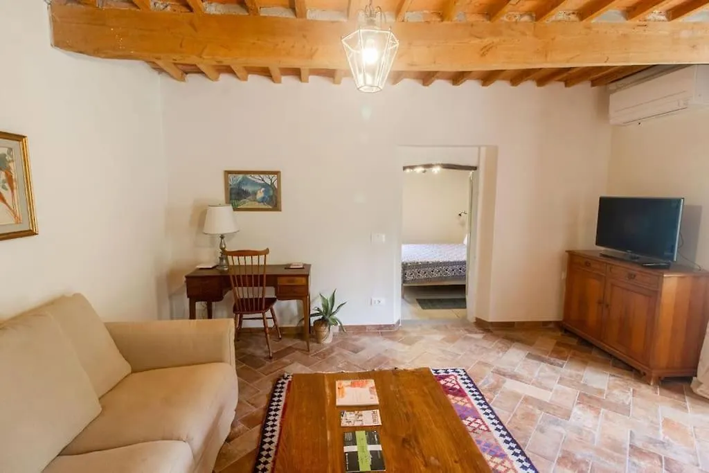 Appartamento Con Piscina E Giardino - Olivo Ghizzano